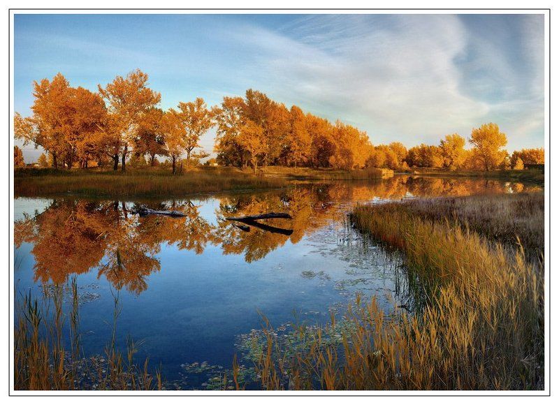 хакасия ОСЕННИЙ КАЛЕЙДОСКОП фото превью