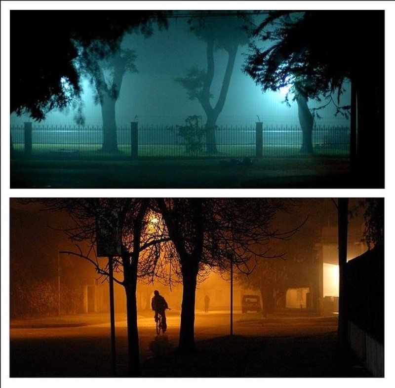 ДВА птих- не путать с триптихом и тем паче с ... фото превью