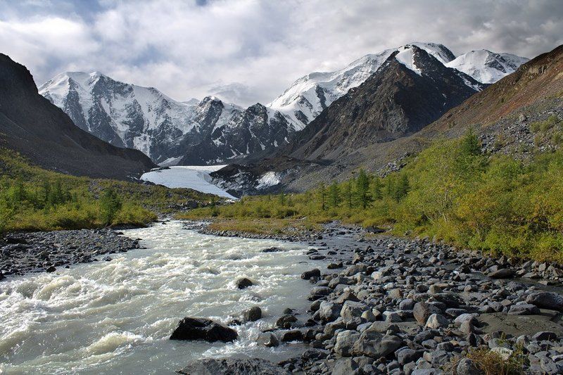Маашей фото превью
