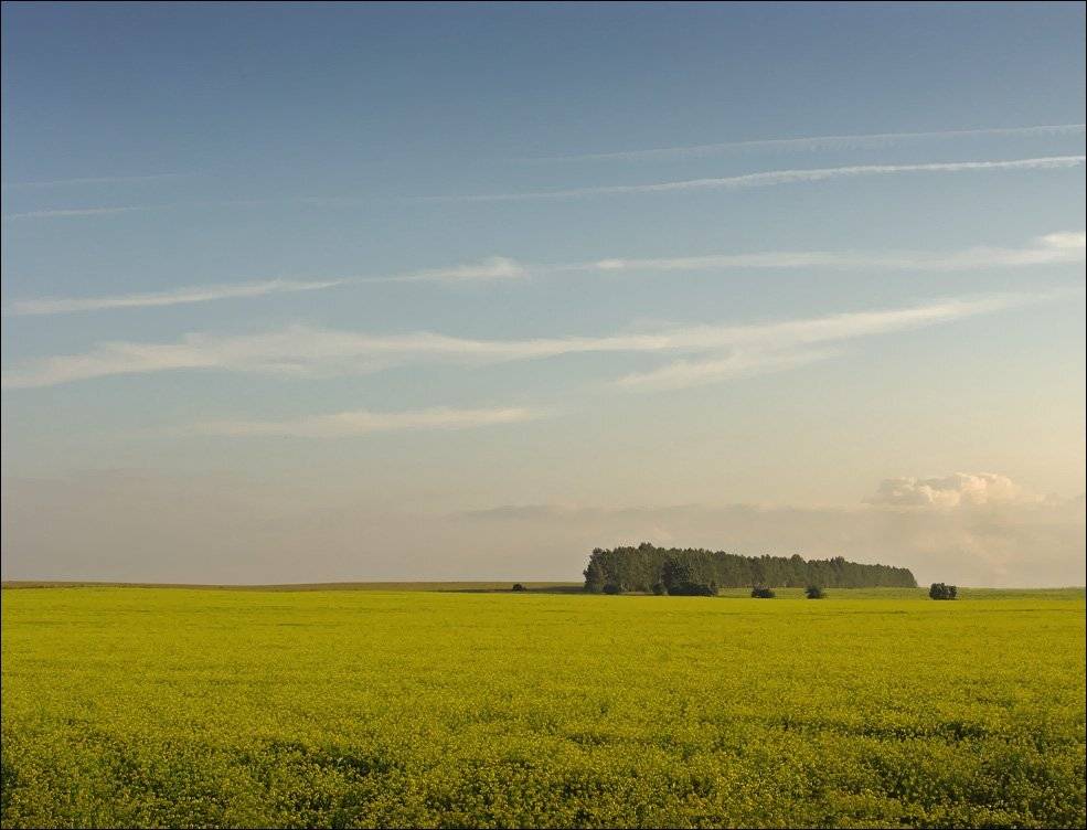 небо, воздух, рязанщина, Тарасов Алексей
