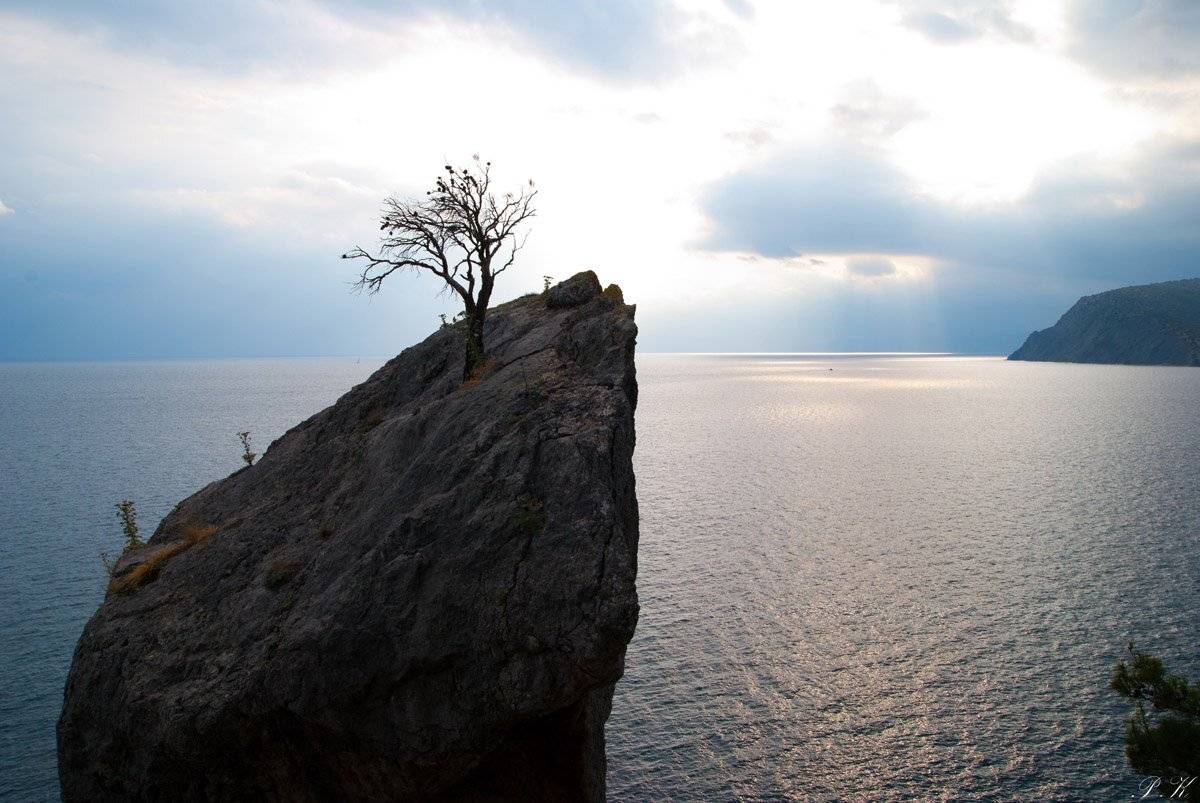 море, скалы, дерево, Павел