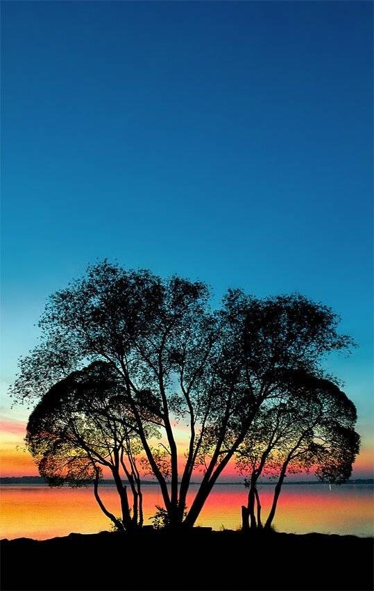 шарташ, екатеринбург, Dimitriy