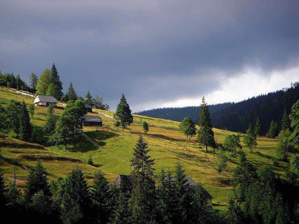 , Игорь Филипенко