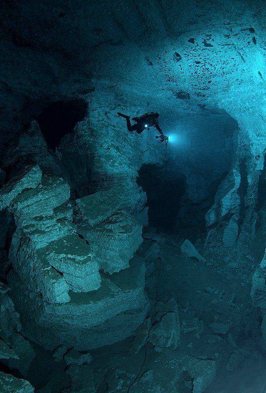 , Витя Лягушкин