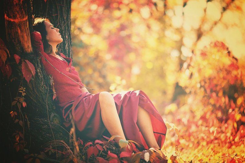 В осеннем лесу фото превью