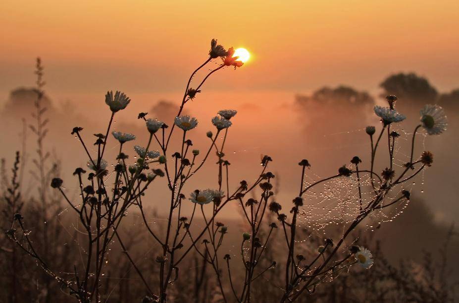 осень,рассвет, Валерий Кондратов