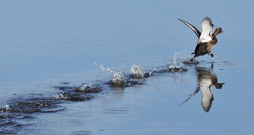 тяжёлый взлёт