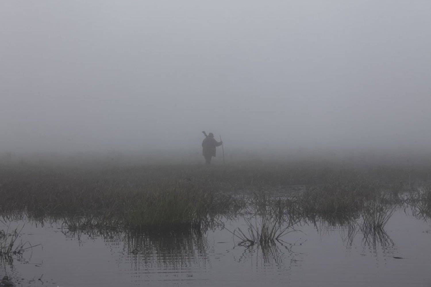 , Николай Гынгазов