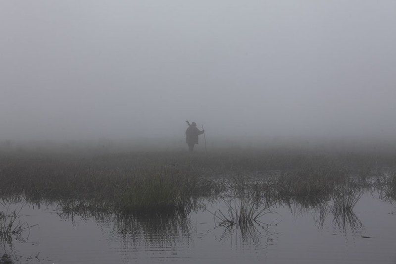 День не задался... фото превью
