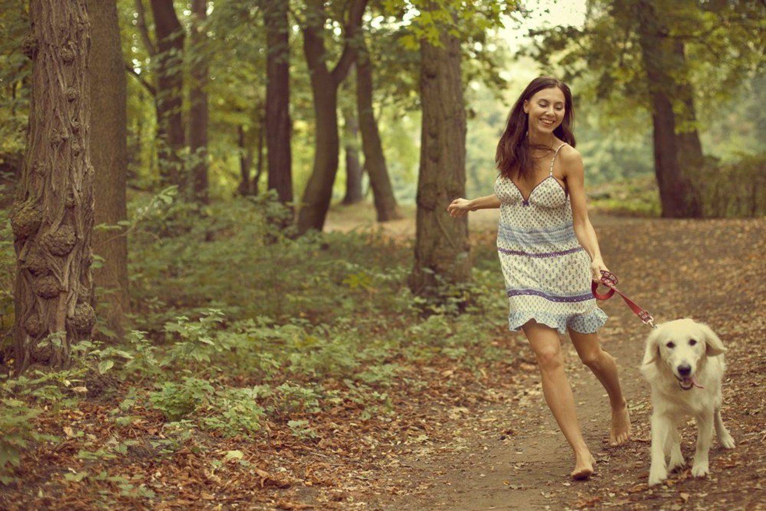 братья самоновы. ольга к., лес, осень, Olga-K