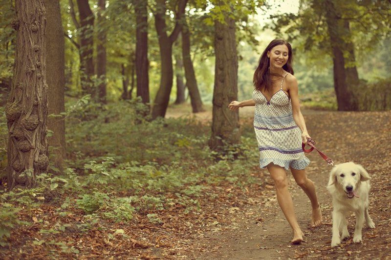 братья самоновы. ольга к., лес, осень *** фото превью