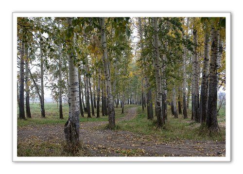 Осеннее настроение...