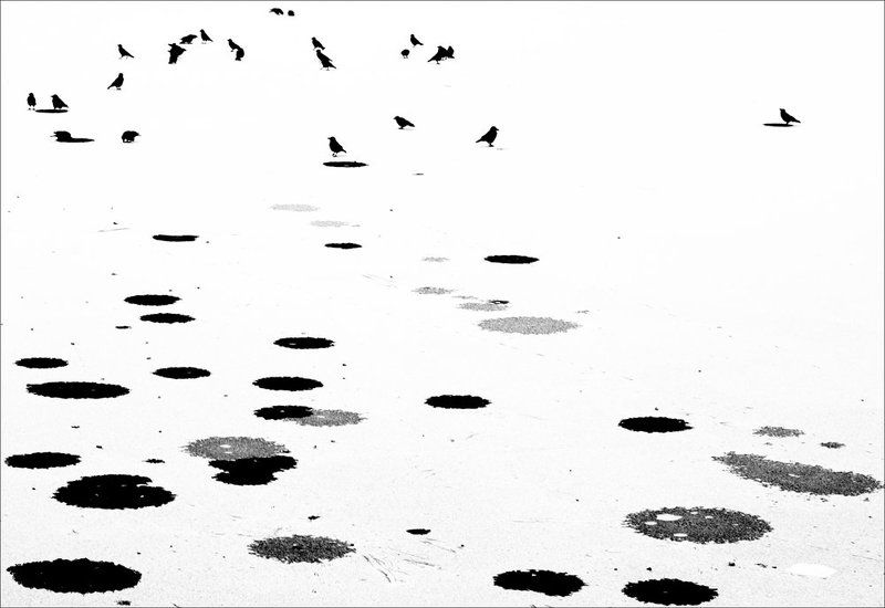 scripts фото превью