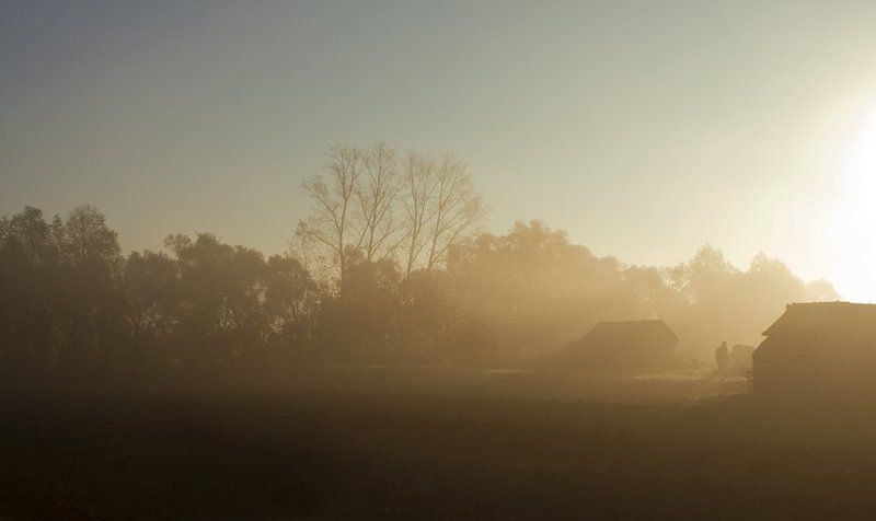 осень, утро, туман Утро. Туман... фото превью