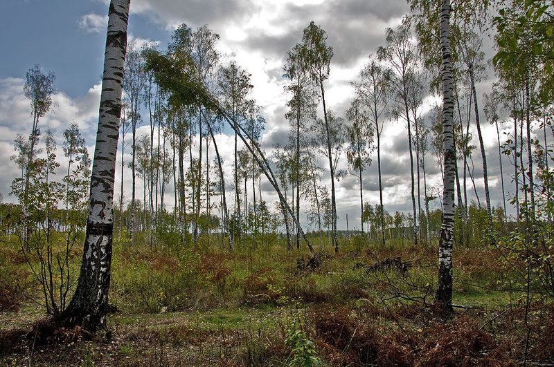 Такая любовь... фото превью