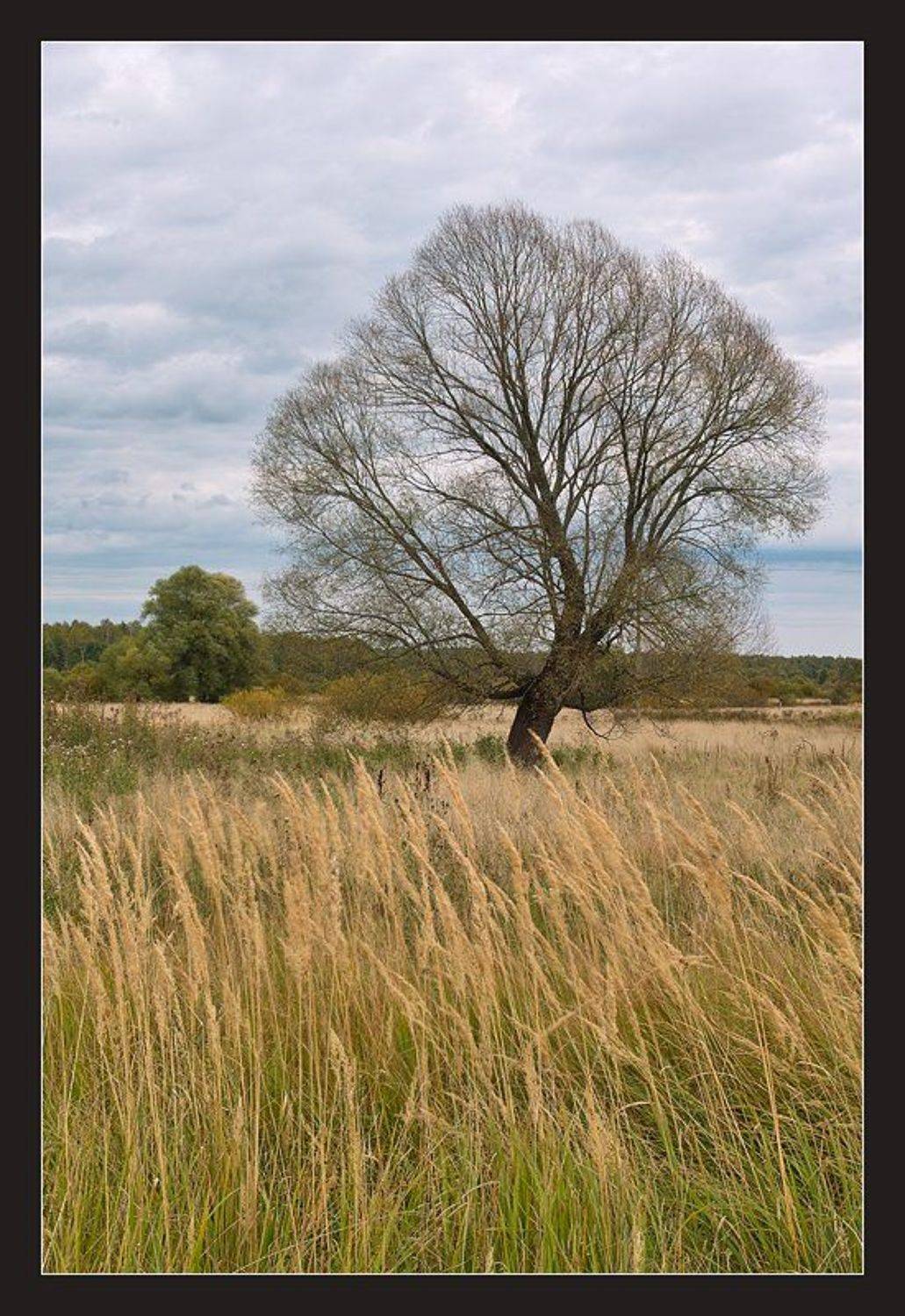 , Вадим Казаков