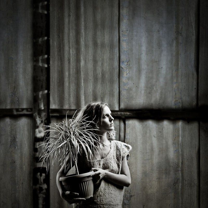 ... фото превью