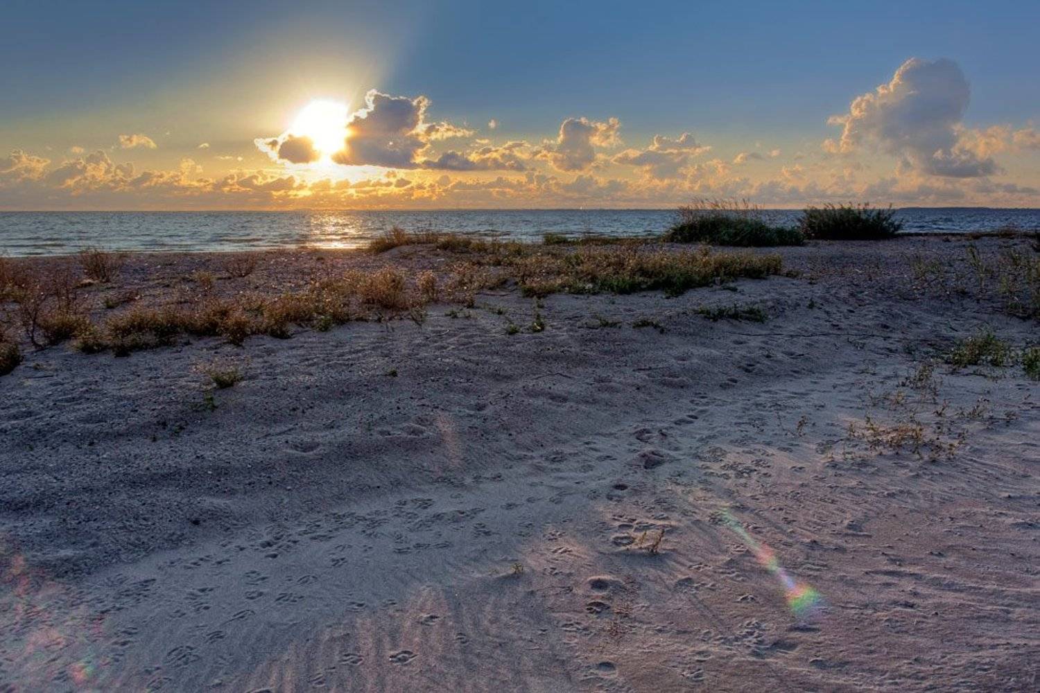 , Рафаэль Александрович Фоменко