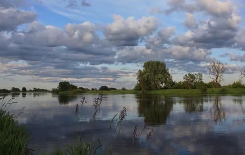 На реке