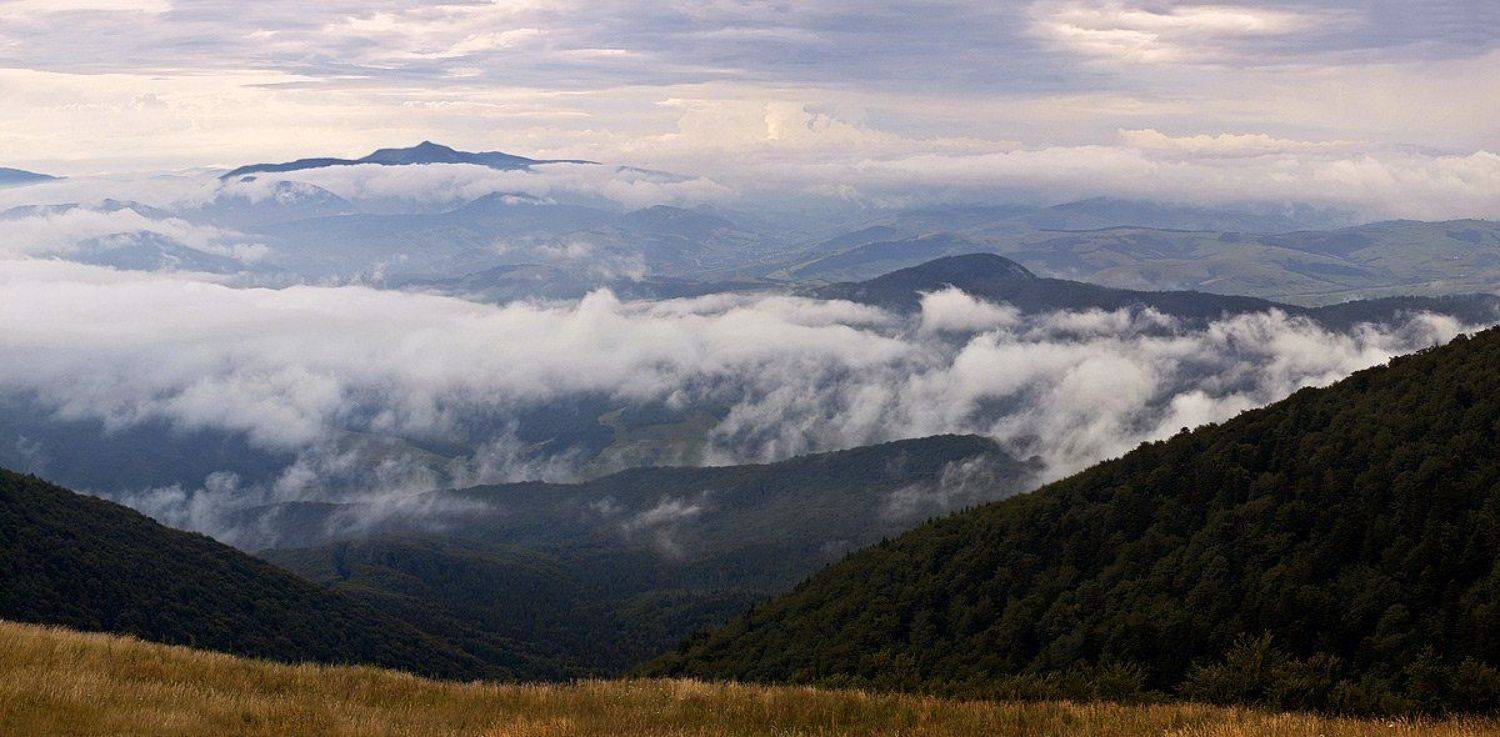 , Александр Ящук