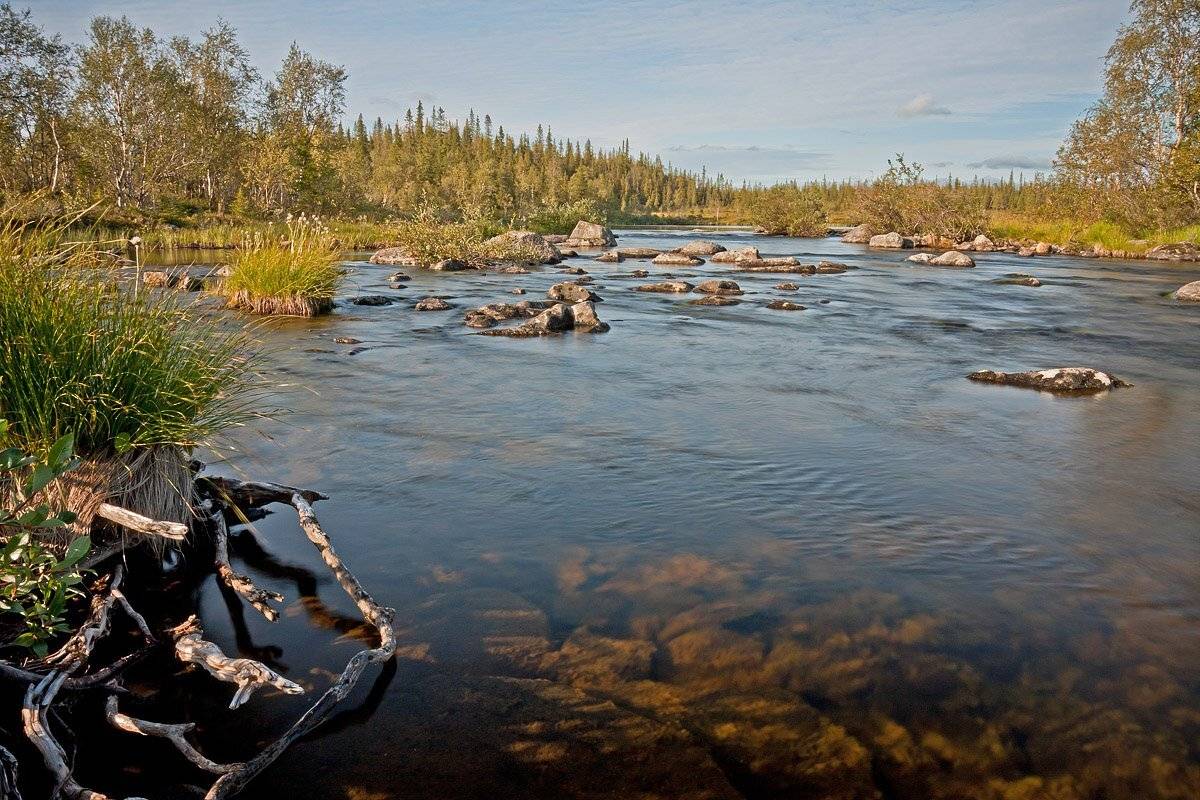 кольский, полуостров, locus