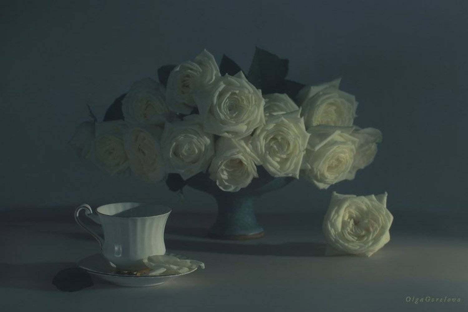 натюрморт, фото, белые, розы, Ольга Горелова