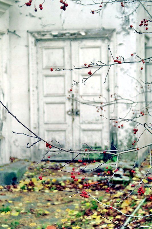 Двери в осень фото превью