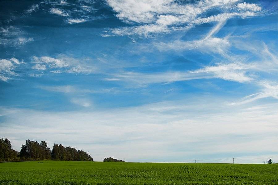 небо, океан, природа, поле, ровнина, Мария Мальгина