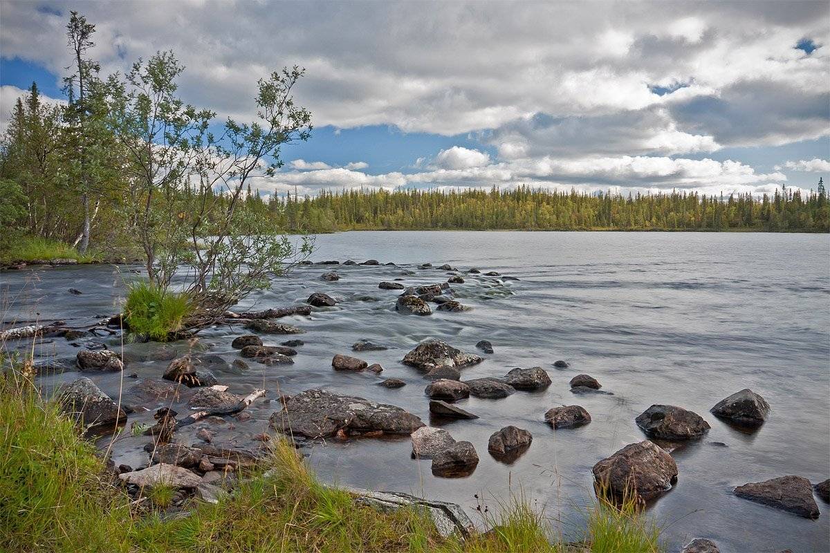 кольский, полуостров, locus
