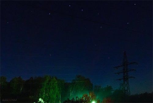 Медведица...