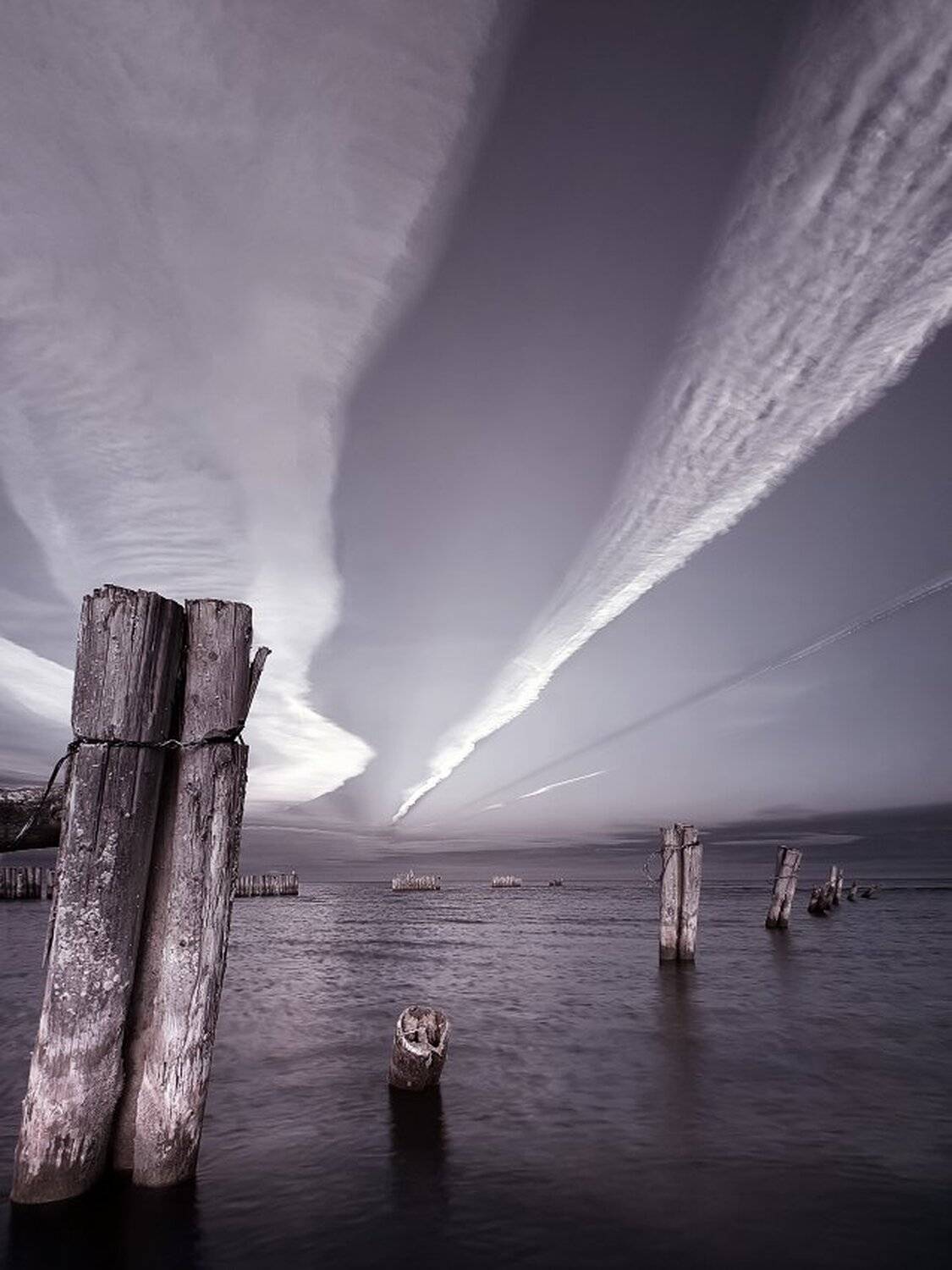 , Максим Евдокимов