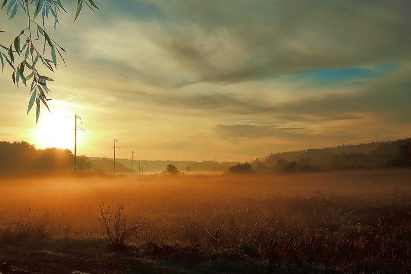 утро, туман, рассвет утро туманное фото превью