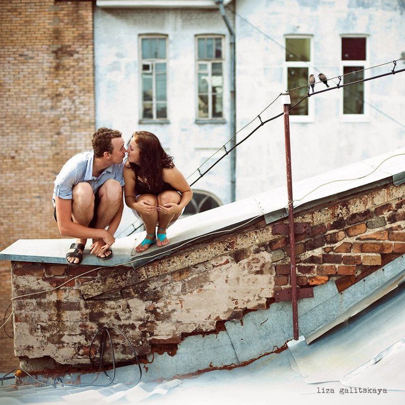 Воробушки фото превью