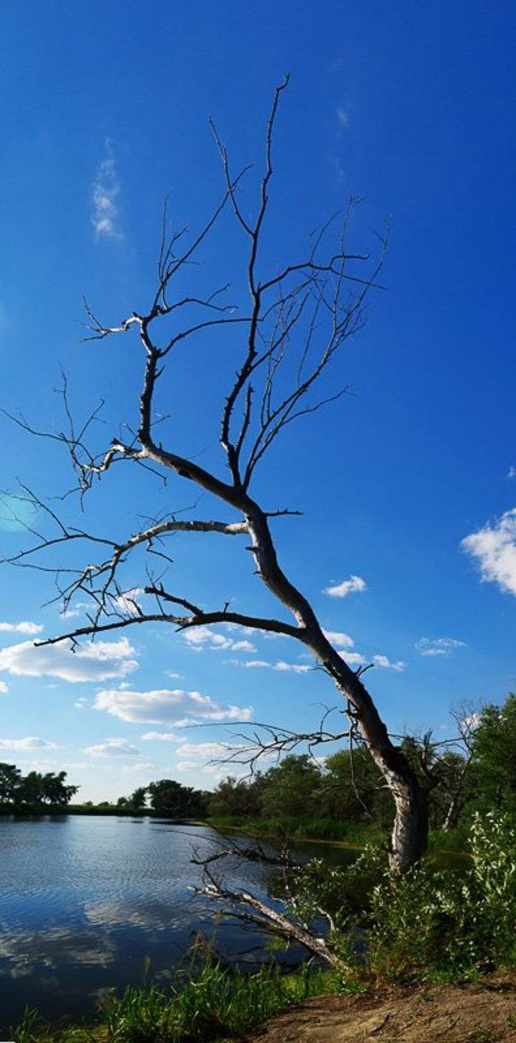 природа, зауралье, фотограф, руденко, олег, курган, Руденко Олег