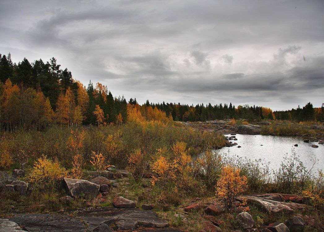 , Александр Коротков