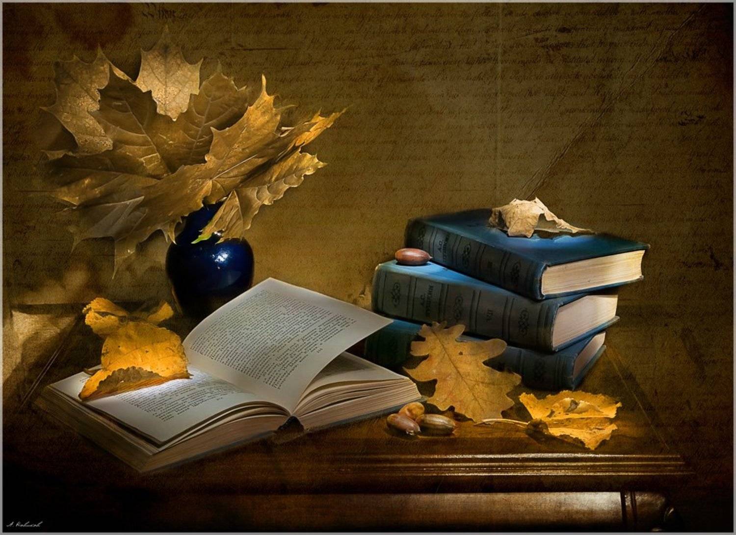 , Алексей Новиков