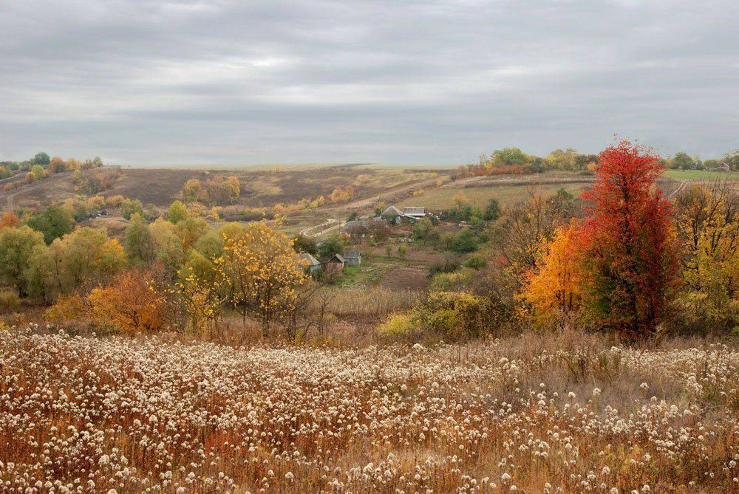 , Павел Лёушкин
