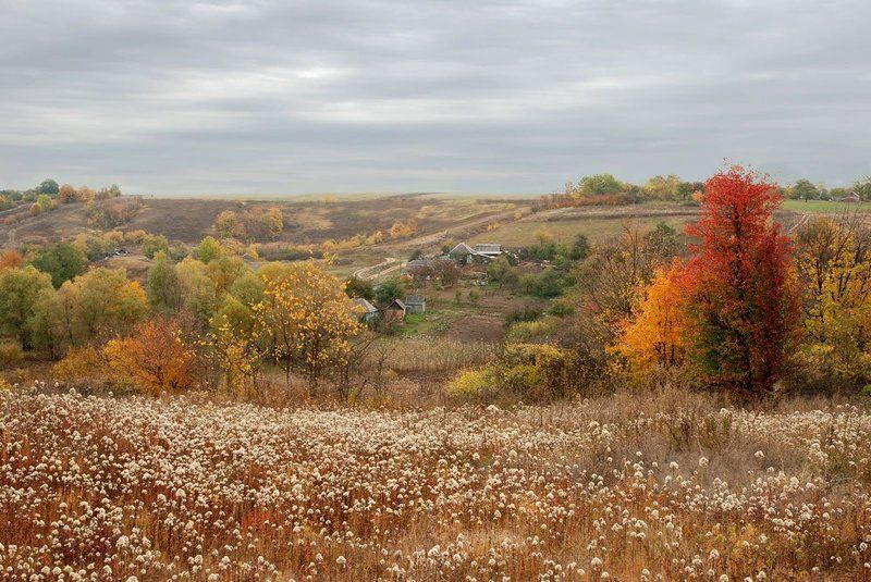унылая пора фото превью