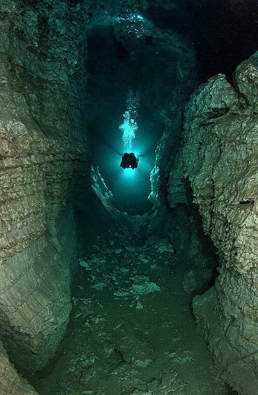 , Витя Лягушкин