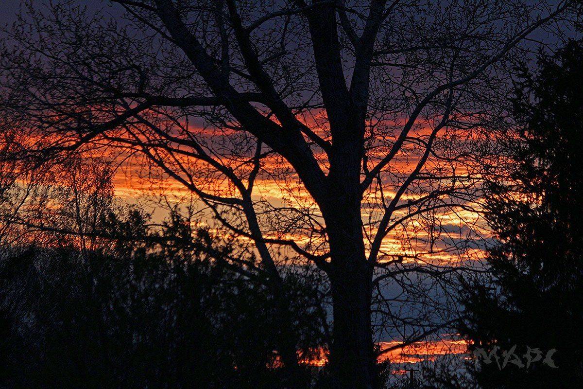 пейзаж вечер закат, Шангареев Марс