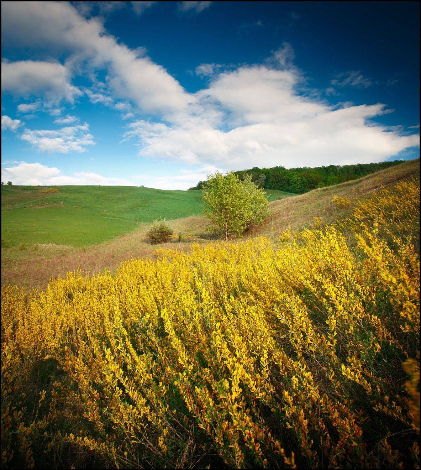 , Борисенко Денис