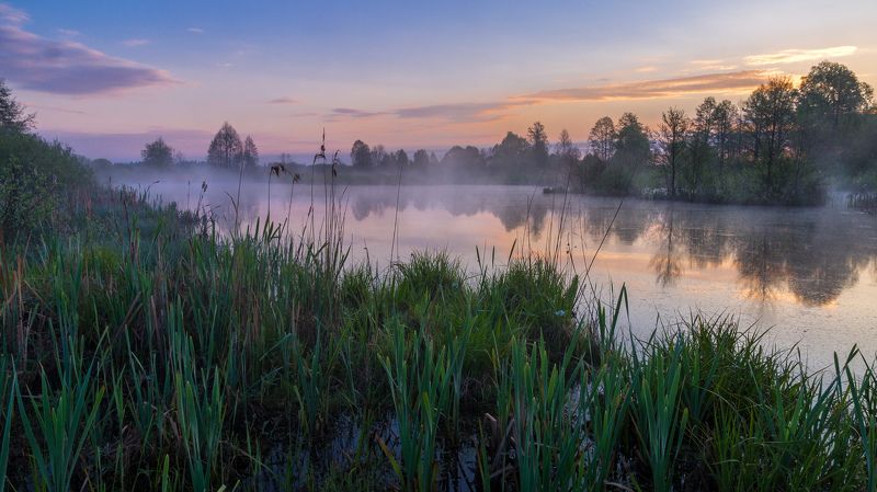 рассвет,восход,пейзаж,природа,утро,роса,озеро,landscape,nature,sunrise,fog,lake Рассветный момент фото превью