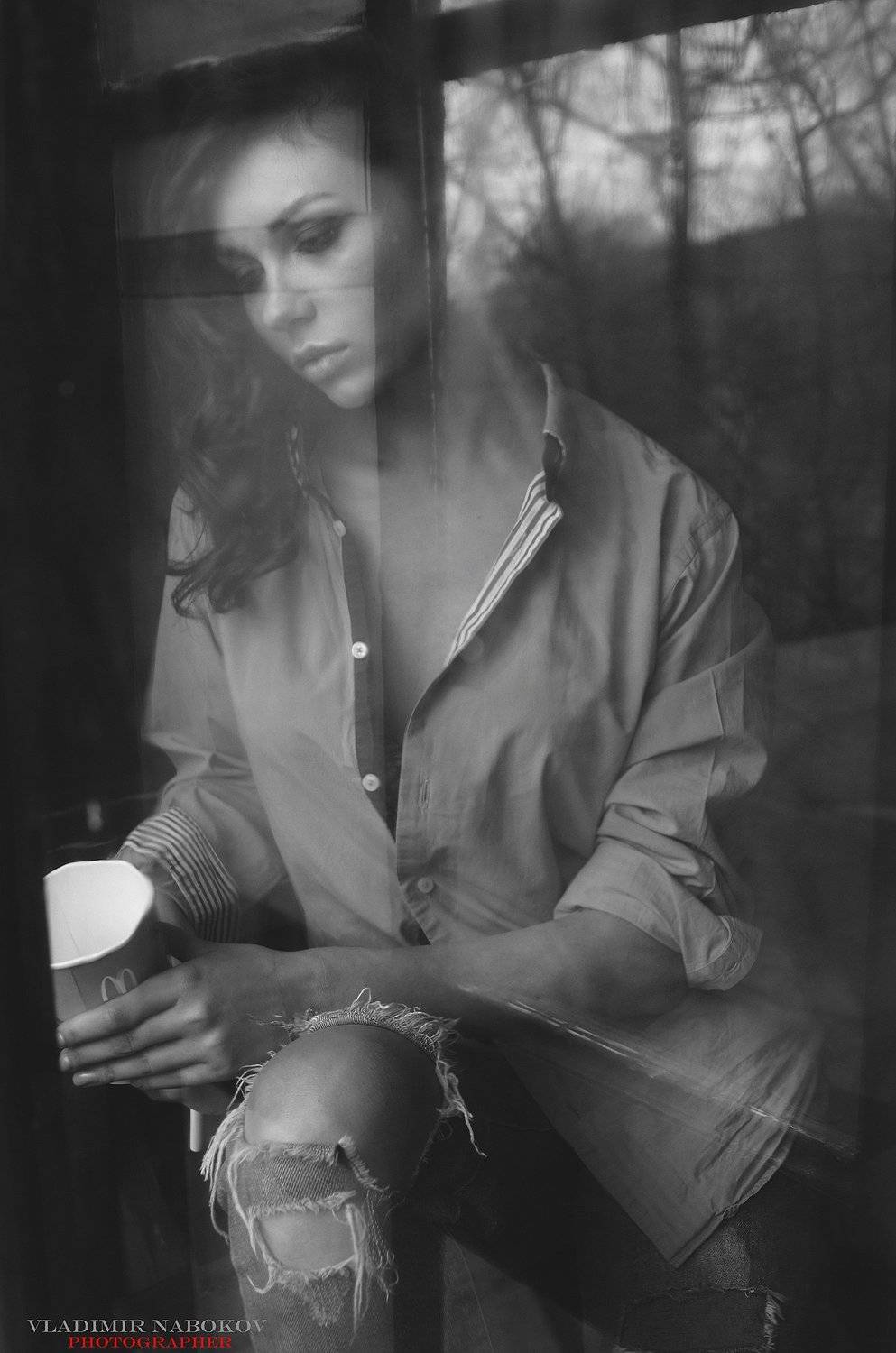 , Владимир Набоков
