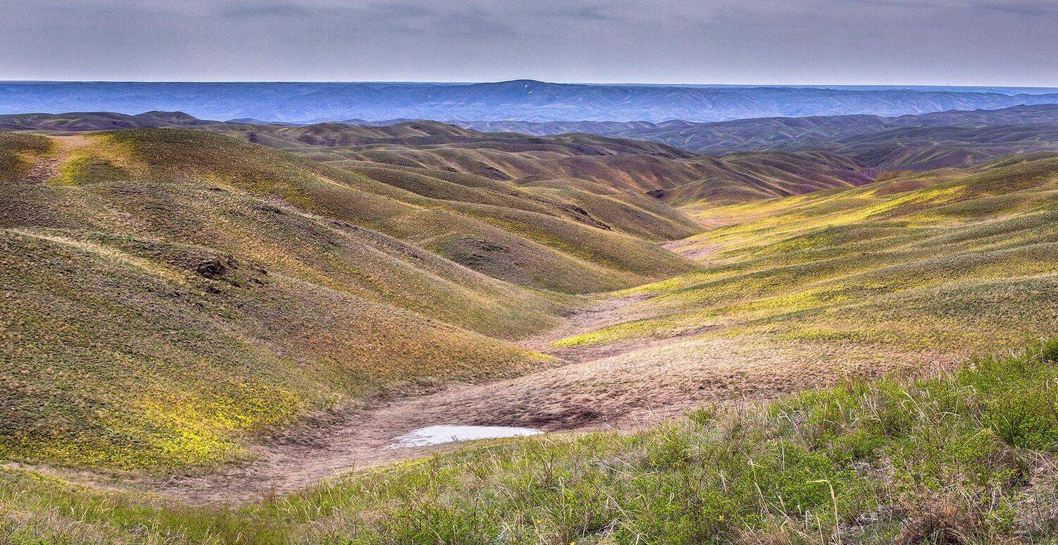 , Качурин Алексей