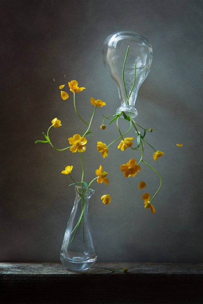цветы, растения, лютики, полёт, парение, линии, натюрморт, stil life, Виктория