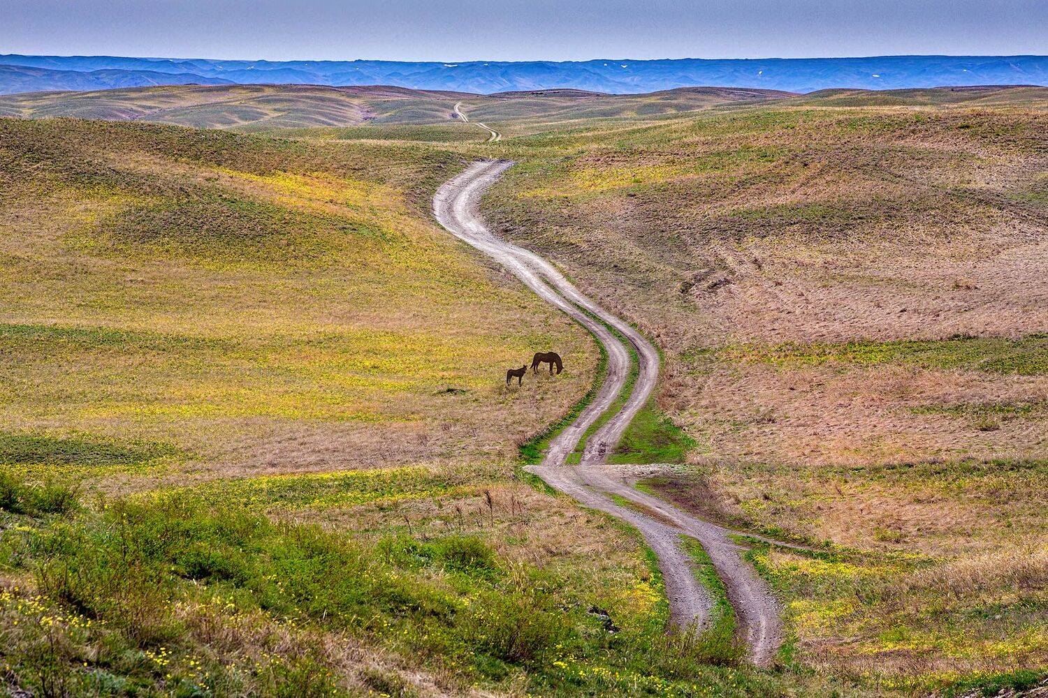 , Качурин Алексей