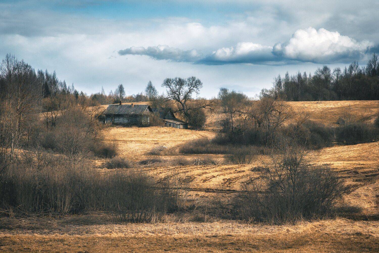 landscape,willage,spring,house,дом,деревня,пейзаж,весна,природа,хутор, Olegs Bucis