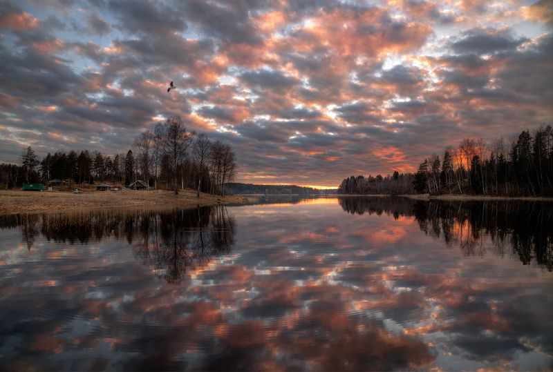 тихий вечер на Ладоге фото превью