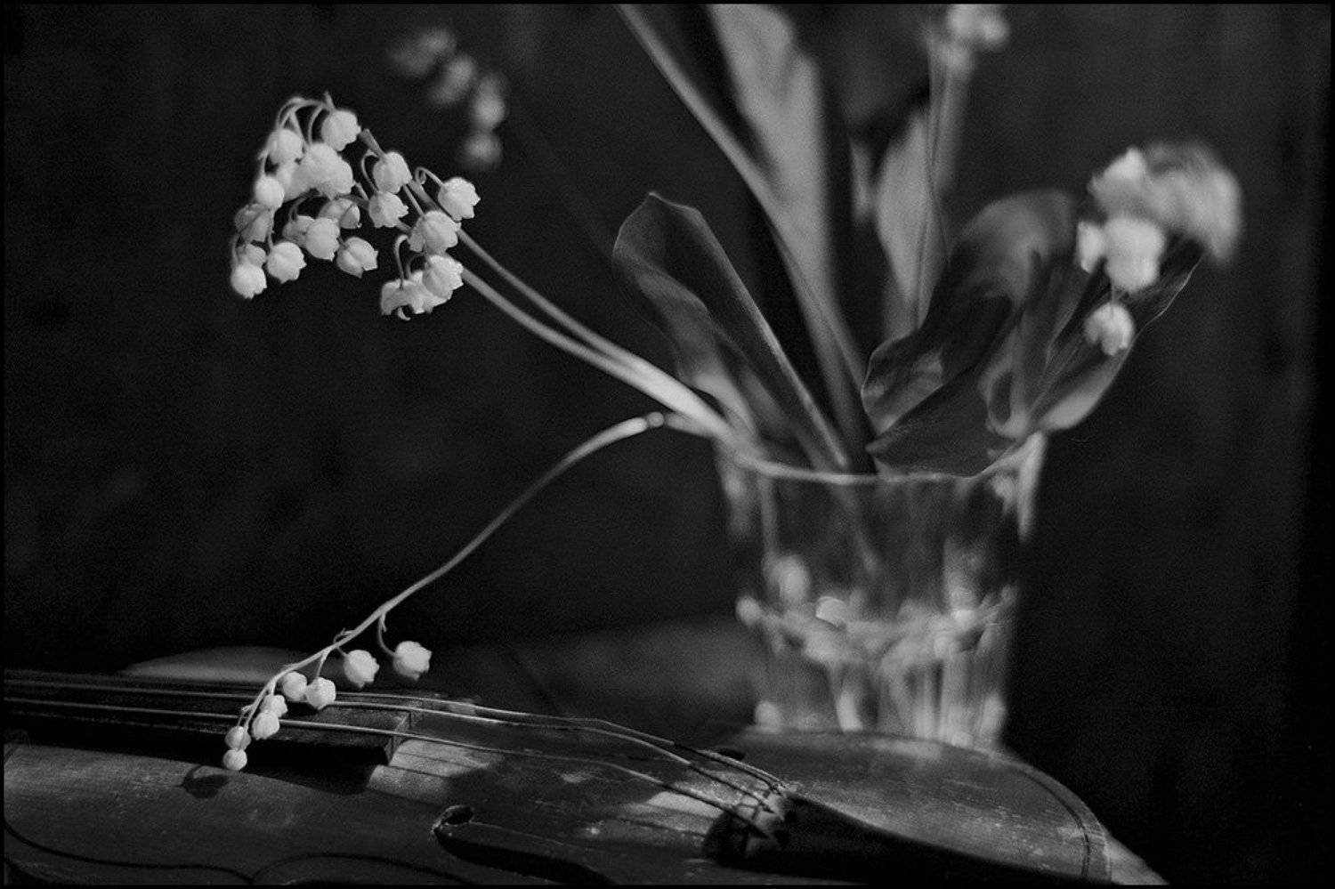 , Олег Вахник