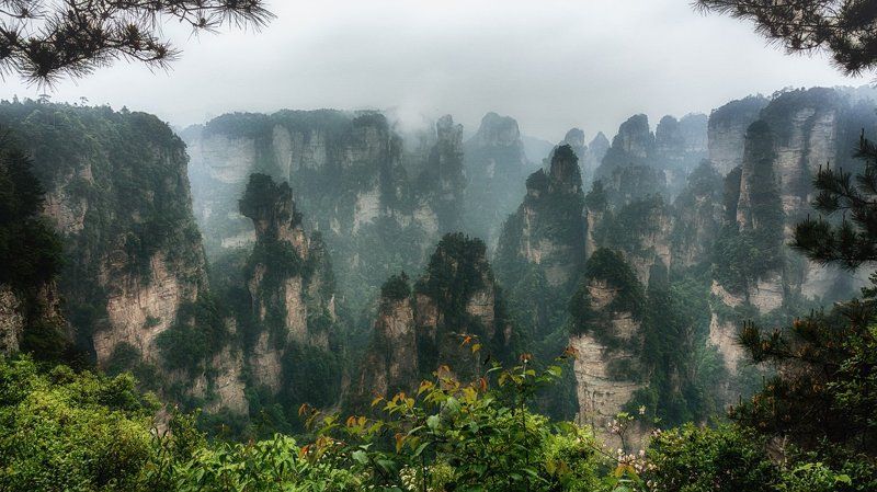 Zhangjiajie national forest park фото превью